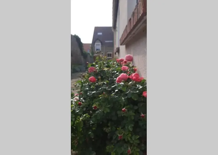 La Cour Pavee