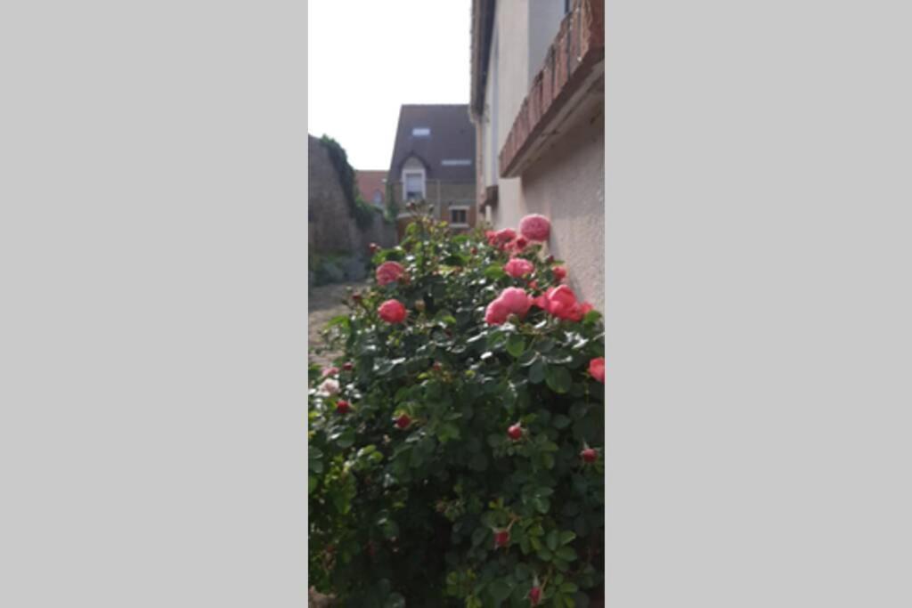 La Cour Pavee * Boulogne-sur-Mer